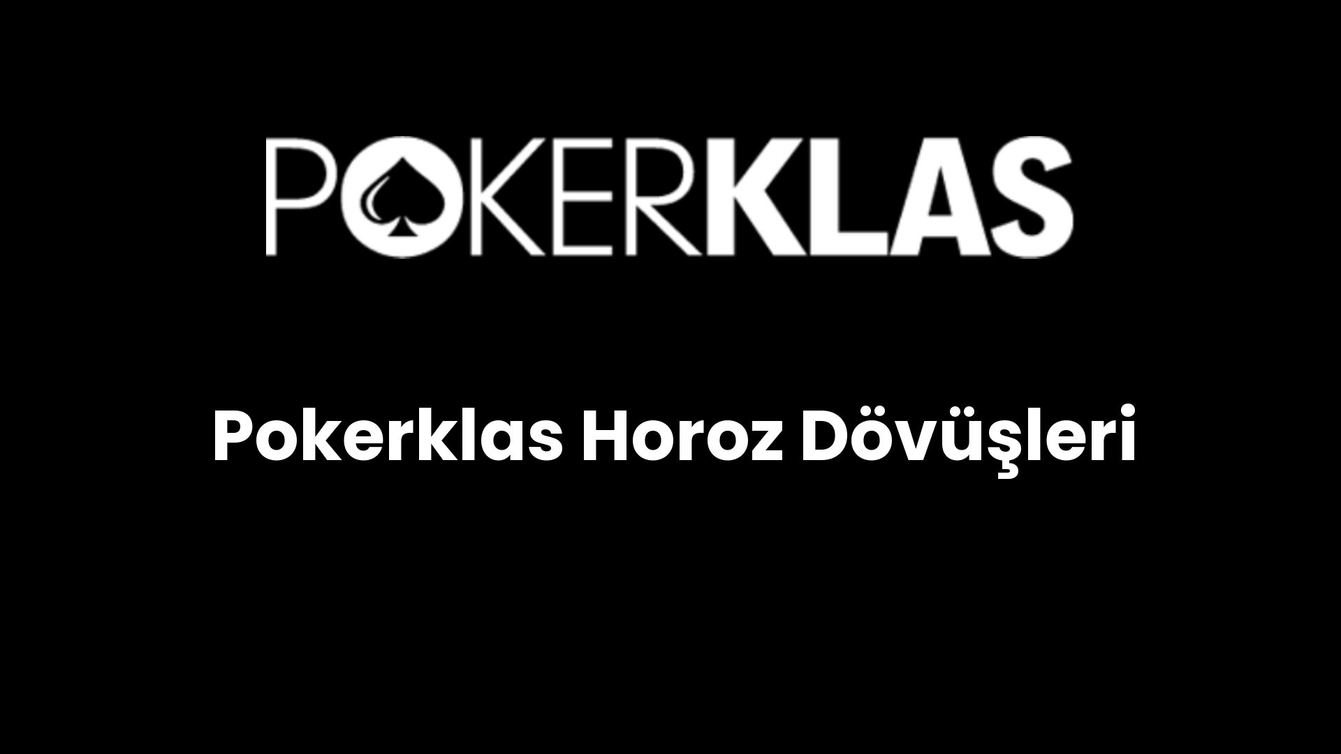 pokerklas horoz dovusleri 206
